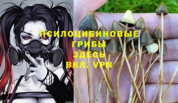 ешки Белокуриха