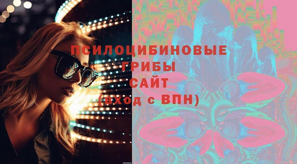 шишки Балабаново